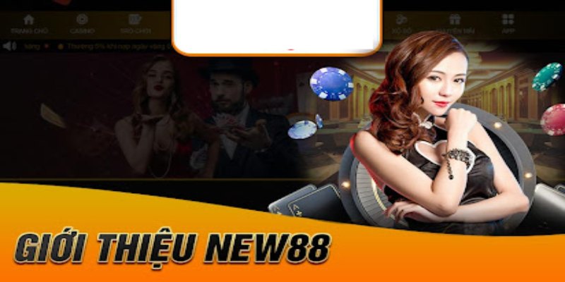 New88 hỗ trợ giao dịch an toàn và thuận tiện cho hội viên